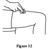 image of Figure 12